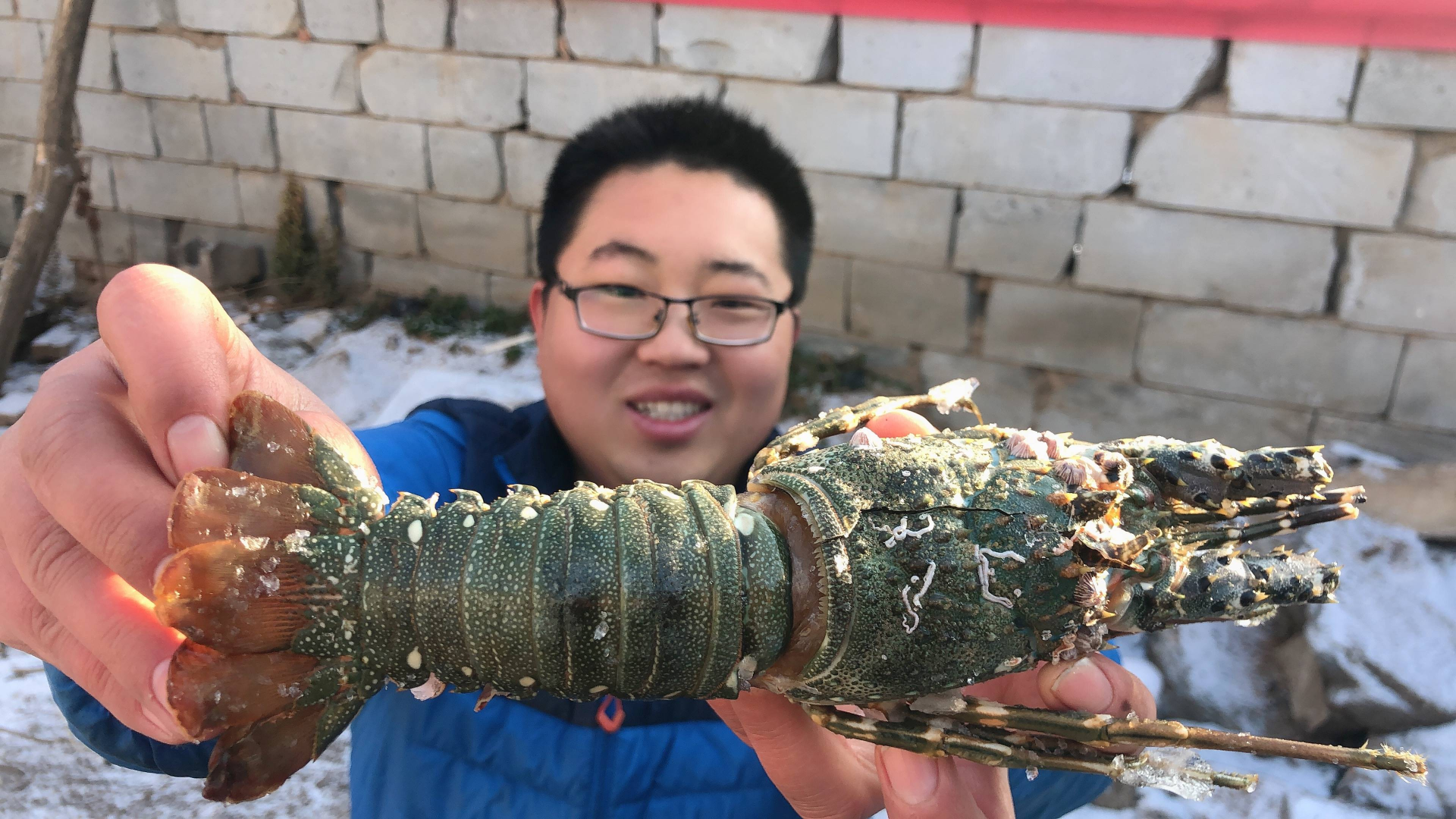 试吃328元的小青龙虾,一口下去就是100多,是心痛的感觉!